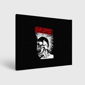 Холст прямоугольный с принтом The Exploited , 100% ПВХ |  | punks | punks not dead | the exploited | панк не сдох | панки | уоти | череп | эксплоитед