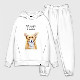 Мужской костюм хлопок OVERSIZE с принтом Corgi is my Love ,  |  | corgi | corgi is my love | корги | собака