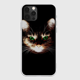 Чехол для iPhone 12 Pro Max с принтом Зеленоглазый кот , Силикон |  | Тематика изображения на принте: зеленые глаза | кот | котик | кошак | кошатнику | кошатнице | кошачий портрет | кошка | кошка с зелеными глазами | кружка | любительнице ко | любителю кошек | подушка | полосатый кот | портрет кота