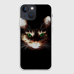 Чехол для iPhone 13 mini с принтом Зеленоглазый кот ,  |  | Тематика изображения на принте: зеленые глаза | кот | котик | кошак | кошатнику | кошатнице | кошачий портрет | кошка | кошка с зелеными глазами | кружка | любительнице ко | любителю кошек | подушка | полосатый кот | портрет кота