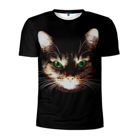 Мужская футболка 3D спортивная с принтом Зеленоглазый кот , 100% полиэстер с улучшенными характеристиками | приталенный силуэт, круглая горловина, широкие плечи, сужается к линии бедра | зеленые глаза | кот | котик | кошак | кошатнику | кошатнице | кошачий портрет | кошка | кошка с зелеными глазами | кружка | любительнице ко | любителю кошек | подушка | полосатый кот | портрет кота