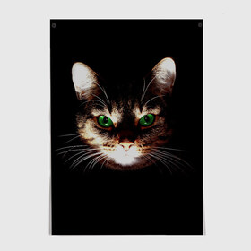 Постер с принтом Зеленоглазый кот , 100% бумага
 | бумага, плотность 150 мг. Матовая, но за счет высокого коэффициента гладкости имеет небольшой блеск и дает на свету блики, но в отличии от глянцевой бумаги не покрыта лаком | Тематика изображения на принте: зеленые глаза | кот | котик | кошак | кошатнику | кошатнице | кошачий портрет | кошка | кошка с зелеными глазами | кружка | любительнице ко | любителю кошек | подушка | полосатый кот | портрет кота