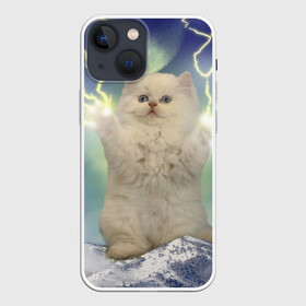 Чехол для iPhone 13 mini с принтом Грозовой Котик ,  |  | Тематика изображения на принте: cat | cats | memes | гроза | грозовой | грозовой кошак | животные | кот | котенок | котик | котята | кошак | кошка | мем | мемы | молнии | молния | прикол | прикольные