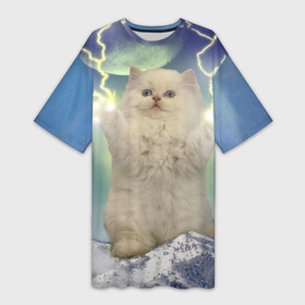 Платье-футболка 3D с принтом Грозовой Котик ,  |  | cat | cats | memes | гроза | грозовой | грозовой кошак | животные | кот | котенок | котик | котята | кошак | кошка | мем | мемы | молнии | молния | прикол | прикольные