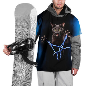 Накидка на куртку 3D с принтом Грозовой кошак(громовержец) , 100% полиэстер |  | Тематика изображения на принте: грозовой | громовержец | кот | кошак | молнии | разряды | черный