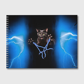 Альбом для рисования с принтом Грозовой кошак(громовержец) , 100% бумага
 | матовая бумага, плотность 200 мг. | Тематика изображения на принте: грозовой | громовержец | кот | кошак | молнии | разряды | черный