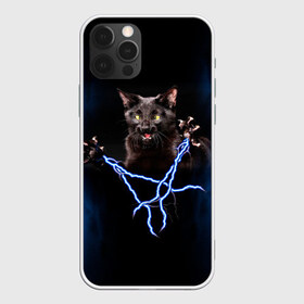 Чехол для iPhone 12 Pro Max с принтом Грозовой кошак(громовержец) , Силикон |  | грозовой | громовержец | кот | кошак | молнии | разряды | черный