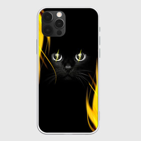 Чехол для iPhone 12 Pro Max с принтом Грозовой кошак , Силикон |  | Тематика изображения на принте: глаза | грозовой | кот | кошак | молнии | пламя | разряды | черный