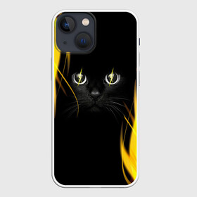 Чехол для iPhone 13 mini с принтом Грозовой кошак ,  |  | Тематика изображения на принте: глаза | грозовой | кот | кошак | молнии | пламя | разряды | черный