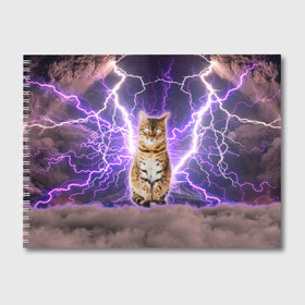 Альбом для рисования с принтом Котушка Теслы , 100% бумага
 | матовая бумага, плотность 200 мг. | Тематика изображения на принте: cat | lightning | lightning cat | tesla | арт с котом | грозовой кошак | катушка теслы | кот | кот мем | котейка | котушка теслы | котяра | кошак | кошка | мем с котом | молнии | тесла