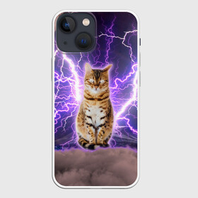 Чехол для iPhone 13 mini с принтом Котушка Теслы ,  |  | cat | lightning | lightning cat | tesla | арт с котом | грозовой кошак | катушка теслы | кот | кот мем | котейка | котушка теслы | котяра | кошак | кошка | мем с котом | молнии | тесла