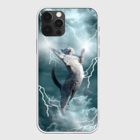 Чехол для iPhone 12 Pro Max с принтом Грозовой кошак , Силикон |  | Тематика изображения на принте: cat | грозовой кот | грозовой кошак | животные | звери | кот | котики | кошак | молния