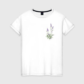 Женская футболка хлопок с принтом Lavanda , 100% хлопок | прямой крой, круглый вырез горловины, длина до линии бедер, слегка спущенное плечо | лаванда | лавандовые цветы | милота | нежность | цветочки | цветы