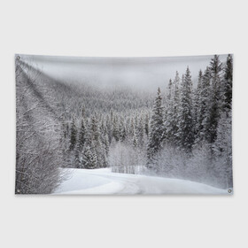 Флаг-баннер с принтом Зимняя природа , 100% полиэстер | размер 67 х 109 см, плотность ткани — 95 г/м2; по краям флага есть четыре люверса для крепления | winter | белый | зима | искусство | лес | природа | снег | снежная | текстура | текстуры
