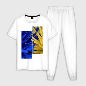 Мужская пижама хлопок с принтом Украинский акцент , 100% хлопок | брюки и футболка прямого кроя, без карманов, на брюках мягкая резинка на поясе и по низу штанин
 | Тематика изображения на принте: жёлтый | намёк | пионы | синий | украина | украинский флаг | флаг | цвет | цвет флага | цветы