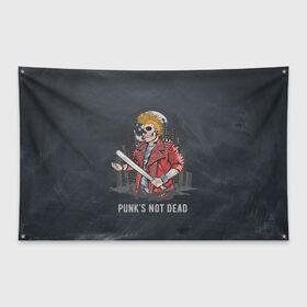 Флаг-баннер с принтом Punk’s Not Dead , 100% полиэстер | размер 67 х 109 см, плотность ткани — 95 г/м2; по краям флага есть четыре люверса для крепления | punk | punks | punk’s not dead | rock | rocker | метал | металл | панк | панки | рок | рокер | тяжелая музыка