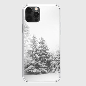 Чехол для iPhone 12 Pro Max с принтом Winter Storm , Силикон |  | winter | белый | деревья | ели | ель | заснеженный | зима | зимний | искусство | лес | природа | снег | снежная | текстура | текстуры | шторм