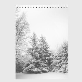 Скетчбук с принтом Winter Storm , 100% бумага
 | 48 листов, плотность листов — 100 г/м2, плотность картонной обложки — 250 г/м2. Листы скреплены сверху удобной пружинной спиралью | winter | белый | деревья | ели | ель | заснеженный | зима | зимний | искусство | лес | природа | снег | снежная | текстура | текстуры | шторм