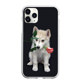 Чехол для iPhone 11 Pro Max матовый с принтом Щенок в подарок , Силикон |  | 8 марта щенок | husky | siberian husky | белый щенок | лайка | собака на день рождения | собака с розой | собака с цветком | хаски | щенок | щенок 8 марта | щенок лайки | щенок на 8 марта | щенок на день рождения