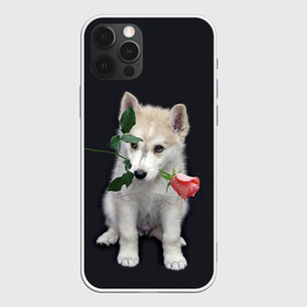Чехол для iPhone 12 Pro Max с принтом Щенок в подарок , Силикон |  | 8 марта щенок | husky | siberian husky | белый щенок | лайка | собака на день рождения | собака с розой | собака с цветком | хаски | щенок | щенок 8 марта | щенок лайки | щенок на 8 марта | щенок на день рождения