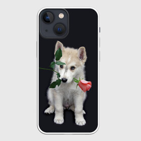 Чехол для iPhone 13 mini с принтом Щенок в подарок ,  |  | 8 марта щенок | husky | siberian husky | белый щенок | лайка | собака на день рождения | собака с розой | собака с цветком | хаски | щенок | щенок 8 марта | щенок лайки | щенок на 8 марта | щенок на день рождения
