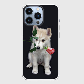 Чехол для iPhone 13 Pro с принтом Щенок в подарок ,  |  | 8 марта щенок | husky | siberian husky | белый щенок | лайка | собака на день рождения | собака с розой | собака с цветком | хаски | щенок | щенок 8 марта | щенок лайки | щенок на 8 марта | щенок на день рождения