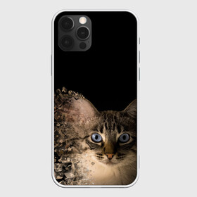 Чехол для iPhone 12 Pro с принтом Disintegrating Cat , силикон | область печати: задняя сторона чехла, без боковых панелей | Тематика изображения на принте: cat | азулес | атомный кот | голубоглазая кошка | голубоглазый кот | голубоглазый котик | кот | кот к | кот распадающийся на атомы | кот с голубыми глазами | котик | котэ | кошак | кошачий портрет