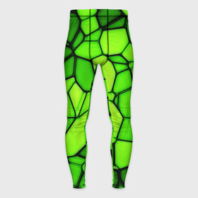 Мужские тайтсы 3D с принтом Зеленая мозаика ,  |  | зеленая мозаика | зелень | мозаика | мозаичный узор | текстура | узор мозаика