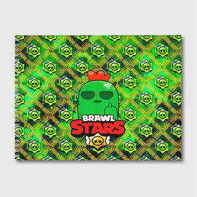 Альбом для рисования с принтом Brawl Stars Spike , 100% бумага
 | матовая бумага, плотность 200 мг. | brawl | brawl stars | brawl stars spike | brawl stars спайк | spike | stars | бравл | бравл старс | бравл старс спайк | игры | кактус | лого | лого brawl stars | лого бравл старс | логотип | логотип brawl stars | логотип бравл старс | спай