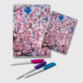 Блокнот с принтом Цветущая Сакура , 100% бумага | 48 листов, плотность листов — 60 г/м2, плотность картонной обложки — 250 г/м2. Листы скреплены удобной пружинной спиралью. Цвет линий — светло-серый
 | Тематика изображения на принте: 8 марта | весна | вишня | женский день | лепестки | март | поздравления | праздник 8 марта | ромашки | сакура | цветок | цветочки | цветы | япония