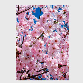 Скетчбук с принтом Цветущая Сакура , 100% бумага
 | 48 листов, плотность листов — 100 г/м2, плотность картонной обложки — 250 г/м2. Листы скреплены сверху удобной пружинной спиралью | 8 марта | весна | вишня | женский день | лепестки | март | поздравления | праздник 8 марта | ромашки | сакура | цветок | цветочки | цветы | япония