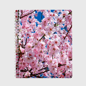 Тетрадь с принтом Цветущая Сакура , 100% бумага | 48 листов, плотность листов — 60 г/м2, плотность картонной обложки — 250 г/м2. Листы скреплены сбоку удобной пружинной спиралью. Уголки страниц и обложки скругленные. Цвет линий — светло-серый
 | 8 марта | весна | вишня | женский день | лепестки | март | поздравления | праздник 8 марта | ромашки | сакура | цветок | цветочки | цветы | япония