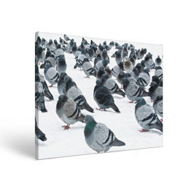 Холст прямоугольный с принтом Голуби , 100% ПВХ |  | Тематика изображения на принте: bird | pigeon | russia | snow | winter | голубь | животные | зима | курлык | птицы | россия | снег | текстура | фон | фотография