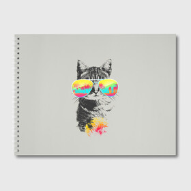 Альбом для рисования с принтом Котик В Очках , 100% бумага
 | матовая бумага, плотность 200 мг. | cat | kitten | meow | rest | summer | картинка | картинки | кот | котенок | котик | кошка | лето | мяу | отдых | очки | прикольная | прикольные