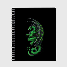 Тетрадь с принтом Green Dragon , 100% бумага | 48 листов, плотность листов — 60 г/м2, плотность картонной обложки — 250 г/м2. Листы скреплены сбоку удобной пружинной спиралью. Уголки страниц и обложки скругленные. Цвет линий — светло-серый
 | beast | dinosaur | dragon | fire | hunter | ice | monster | predator | reptile | динозавр | дракон | зверь | лед | ледяной | монстр | огненный | огонь | охотник | хищник