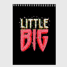 Скетчбук с принтом Little Big , 100% бумага
 | 48 листов, плотность листов — 100 г/м2, плотность картонной обложки — 250 г/м2. Листы скреплены сверху удобной пружинной спиралью | 20 | 2020 | big | eurovision | little | music | биг | бузова | евровидение | ильич | литл | музыка