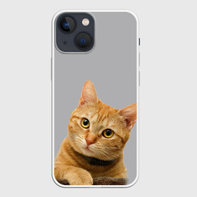 Чехол для iPhone 13 mini с принтом Рыжий котик ,  |  | baby | cat | kitty | глаза | голова | животные | зверь | кот | котенок | котики | кошки | лапы | малыш | полосатый | рыжий