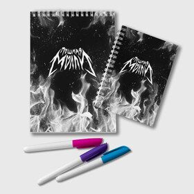 Блокнот с принтом ПОШЛАЯ МОЛЛИ , 100% бумага | 48 листов, плотность листов — 60 г/м2, плотность картонной обложки — 250 г/м2. Листы скреплены удобной пружинной спиралью. Цвет линий — светло-серый
 | Тематика изображения на принте: бледный | гранж | кирилл тимошенко | музыка | пошлая молли | русский рэп | рэп