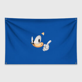 Флаг-баннер с принтом Sonic , 100% полиэстер | размер 67 х 109 см, плотность ткани — 95 г/м2; по краям флага есть четыре люверса для крепления | hedgehog | sega | еж | ежик | сега | соник