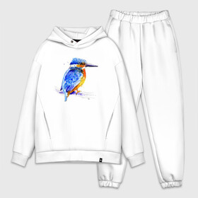 Мужской костюм хлопок OVERSIZE с принтом Kingfisher ,  |  | акварель | графика | зимородок | крутой | модный | принт | птица | птичка | рисунок | рыбак | рыболов | скетч | стильный | яркий