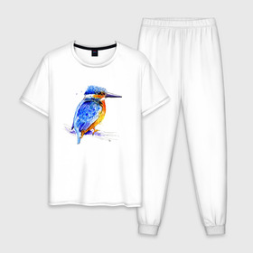 Мужская пижама хлопок с принтом Kingfisher , 100% хлопок | брюки и футболка прямого кроя, без карманов, на брюках мягкая резинка на поясе и по низу штанин
 | акварель | графика | зимородок | крутой | модный | принт | птица | птичка | рисунок | рыбак | рыболов | скетч | стильный | яркий