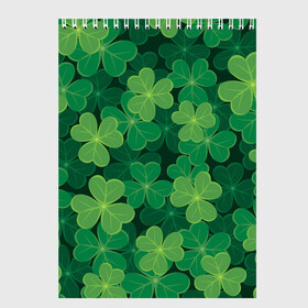 Скетчбук с принтом Ирландский клевер , 100% бумага
 | 48 листов, плотность листов — 100 г/м2, плотность картонной обложки — 250 г/м2. Листы скреплены сверху удобной пружинной спиралью | clover | day | ireland.lucky | irish | patrick | patricks | shamrock | день | зеленая | зеленый | ирландский | клевер | купить | патрик | патрика | святого | святой
