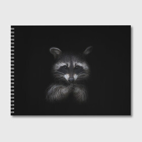 Альбом для рисования с принтом Енот , 100% бумага
 | матовая бумага, плотность 200 мг. | animals | black | funny | photos | raccoon | white | белое | енот | енотик | енчик | животные | зверёк | звери | зверьки | зверюшки | полоскун | прикольные | прикольный | фото | черное