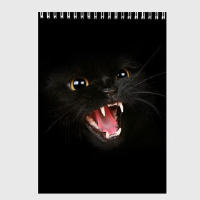 Скетчбук с принтом Злой Котик , 100% бумага
 | 48 листов, плотность листов — 100 г/м2, плотность картонной обложки — 250 г/м2. Листы скреплены сверху удобной пружинной спиралью | angry | animal | animals | beast | black | cat | kitten | британец | британка | животное | животные | зверек | зверь | злая | злой | кот | котейка | котенок | котэ | кошка | кошки | черная