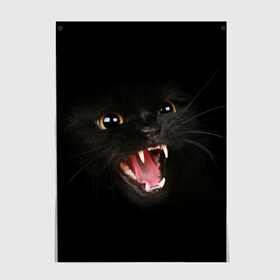 Постер с принтом Злой Котик , 100% бумага
 | бумага, плотность 150 мг. Матовая, но за счет высокого коэффициента гладкости имеет небольшой блеск и дает на свету блики, но в отличии от глянцевой бумаги не покрыта лаком | angry | animal | animals | beast | black | cat | kitten | британец | британка | животное | животные | зверек | зверь | злая | злой | кот | котейка | котенок | котэ | кошка | кошки | черная