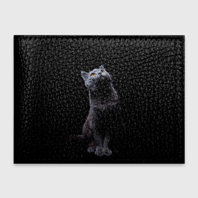 Обложка для студенческого билета с принтом Кот Британец , натуральная кожа | Размер: 11*8 см; Печать на всей внешней стороне | Тематика изображения на принте: animal | animals | beast | black | cat | kitten | британец | британка | животное | животные | зверек | зверь | кот | котейка | котенок | котики | котэ | кошка | кошки | черная