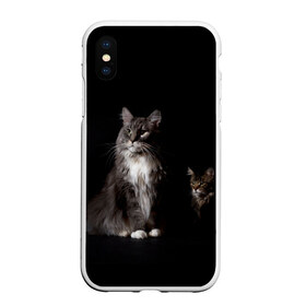 Чехол для iPhone XS Max матовый с принтом Котики , Силикон | Область печати: задняя сторона чехла, без боковых панелей | Тематика изображения на принте: animal | animals | beast | black | cat | kitten | животное | животные | зверек | зверь | кот | котейка | котенок | котики | котэ | кошка | кошки | мейн кун | черная