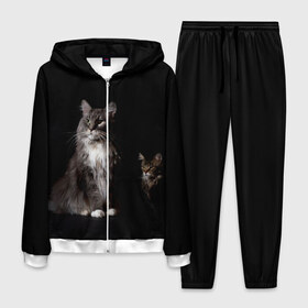 Мужской костюм 3D с принтом Котики , 100% полиэстер | Манжеты и пояс оформлены тканевой резинкой, двухслойный капюшон со шнурком для регулировки, карманы спереди | animal | animals | beast | black | cat | kitten | животное | животные | зверек | зверь | кот | котейка | котенок | котики | котэ | кошка | кошки | мейн кун | черная