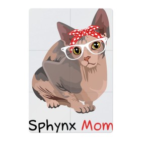 Магнитный плакат 2Х3 с принтом Мама сфинкса , Полимерный материал с магнитным слоем | 6 деталей размером 9*9 см | кот | кошка | очки | сфинкс
