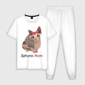 Мужская пижама хлопок с принтом Мама сфинкса , 100% хлопок | брюки и футболка прямого кроя, без карманов, на брюках мягкая резинка на поясе и по низу штанин
 | кот | кошка | очки | сфинкс